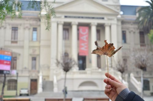 building government leaf