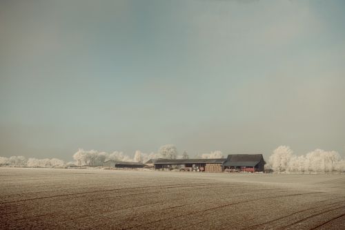 building house landscape