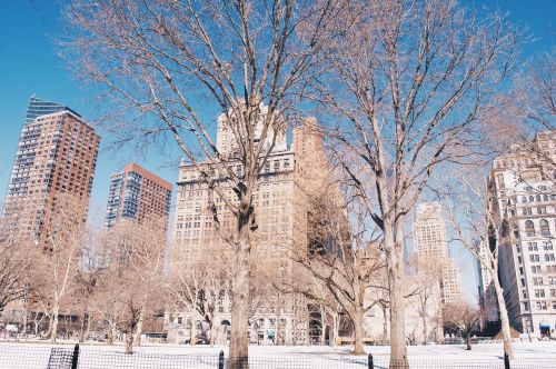 building new york snow