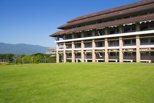 building lawn grass