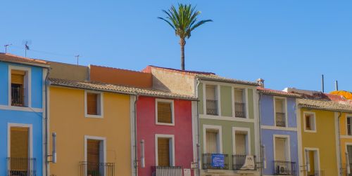 buildings color palm tree