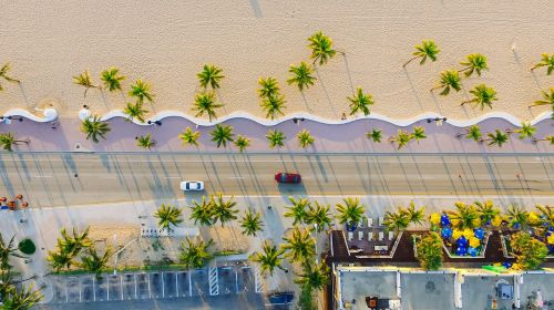 buildings cars palm trees