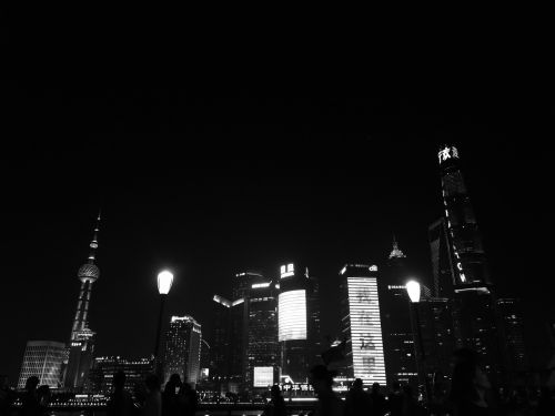 buildings night scene shanghai