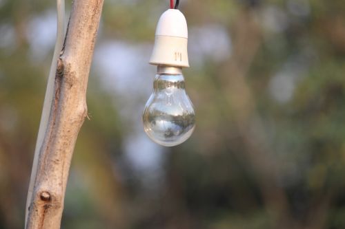 bulb light light bulb