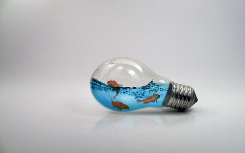 bulb fish light