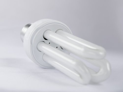 bulb  light  light bulbs
