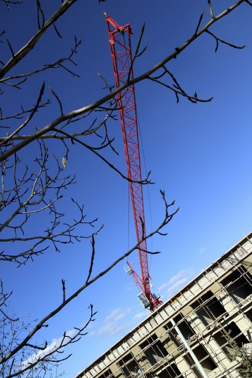 bulding sky tree