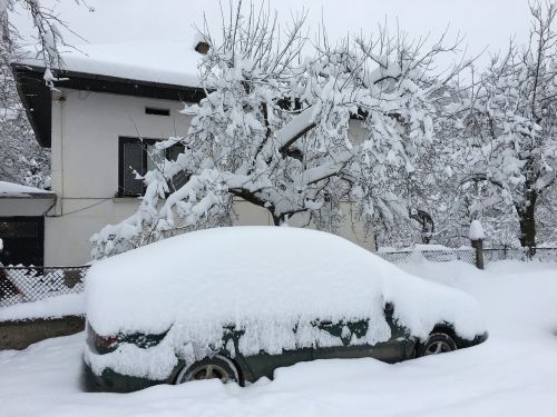 bulgaria ribaritsa winter