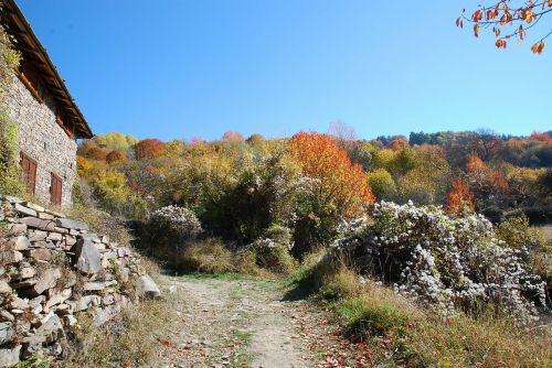 bulgaria autumn landscape