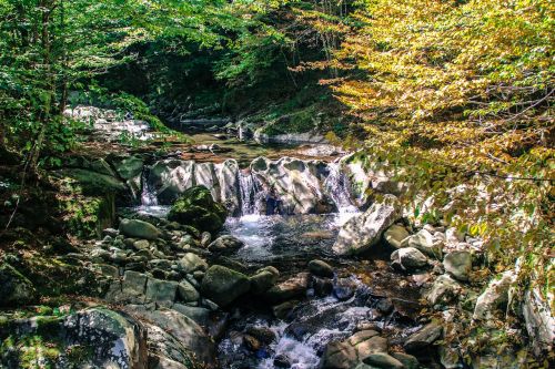 bulgaria forest river