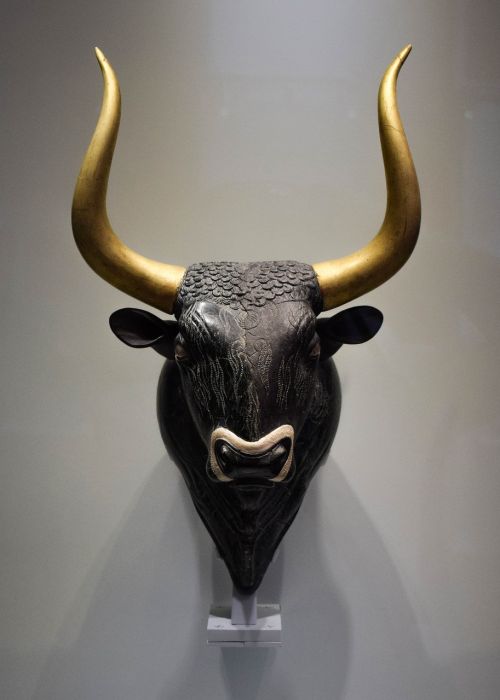 bull head horn
