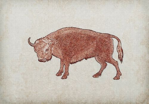 bull red animal