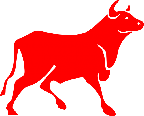 bull red bovine