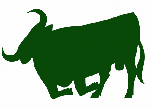 bull green cattle