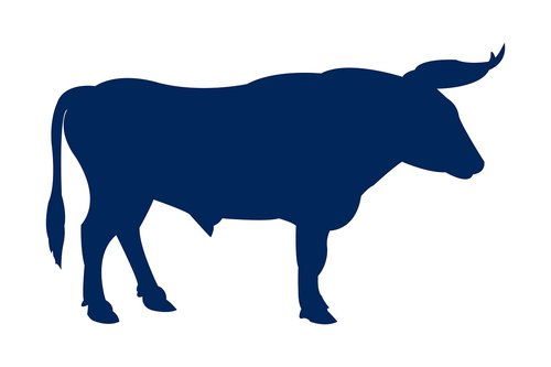 bull  animal  silhouette