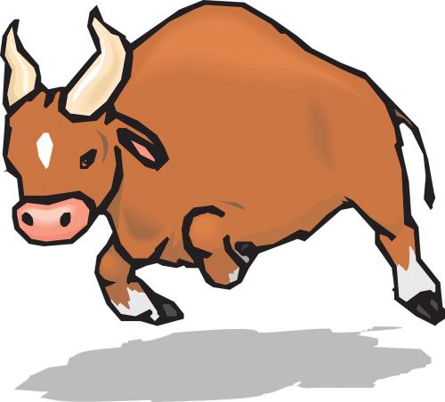 bull horns charging