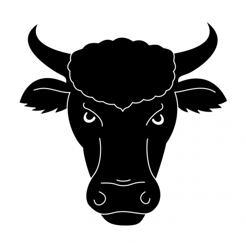 bull head horns