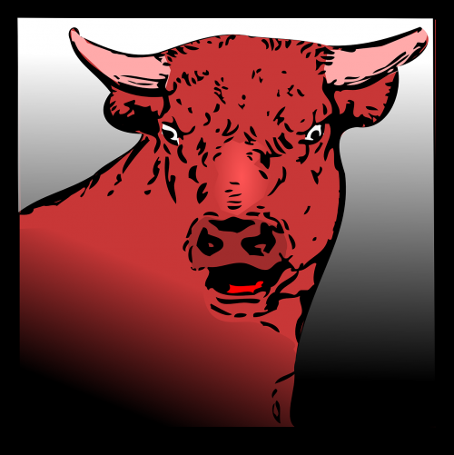 bull angry red