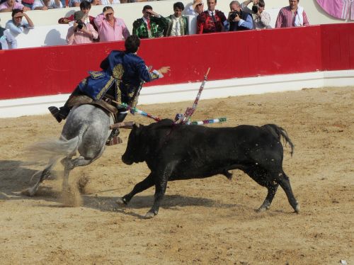 bull fighting torero portugal