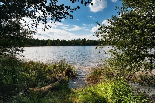 bullensee rotenburg wümme