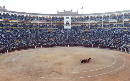 bullfight torero corrida