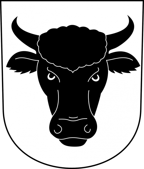 bullhead steer bull