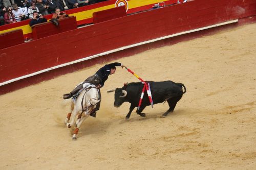 bullring torero