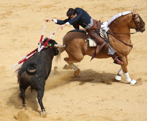 bullring horse torero