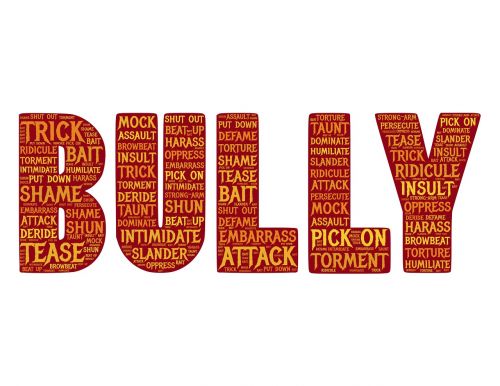 bully attack aggression