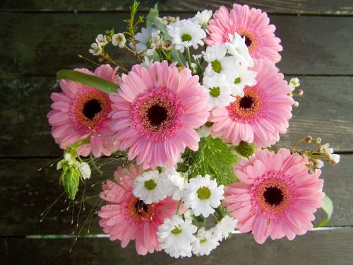 bunch of flowers pink and white flowers gerbera