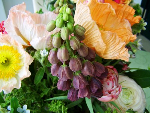 bunch of flowers mixed flower cut flower