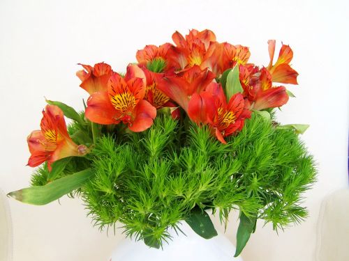 bunch of flowers freesia red flower