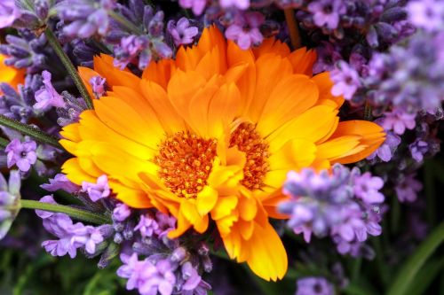 bunch of flowers marigold lavender