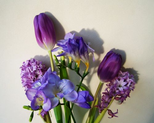 bunch of flowers bluish-purple colors cut flower