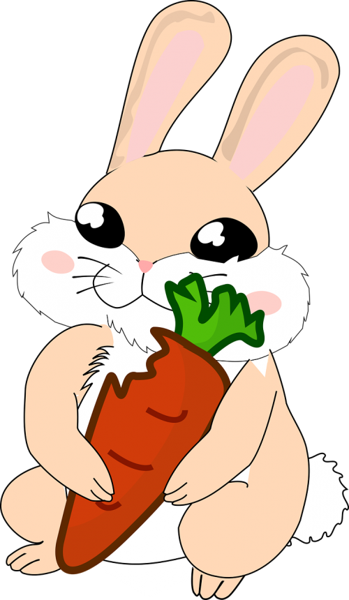 bunny carrot cartoon