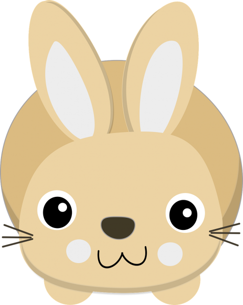 bunny cartoon rabbit