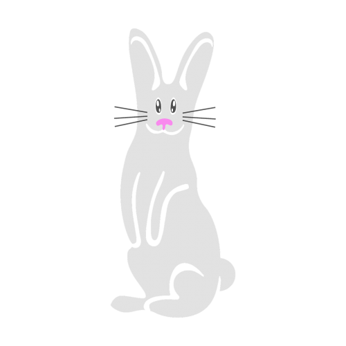bunny rabbit white