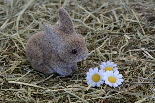 bunny hare easter decoration
