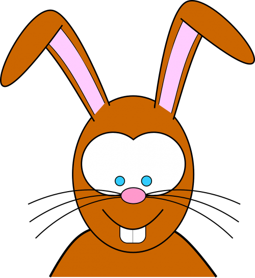 bunny cartoon funny