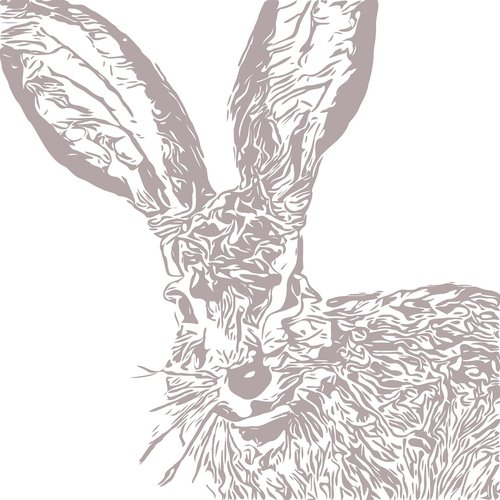 bunny  rabbit  drawing