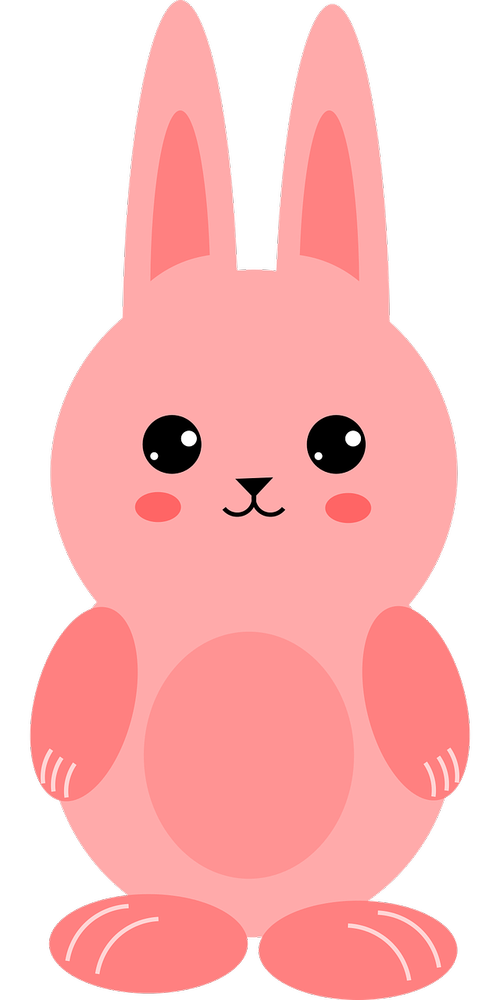 bunny  pink  rabbit