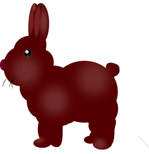bunny pet animal