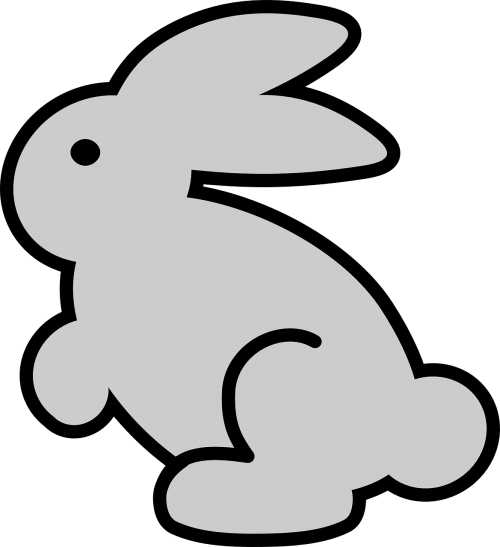 bunny rabbit hare