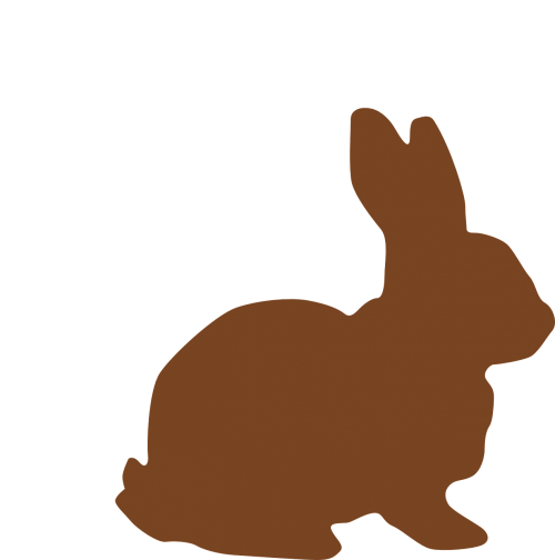 bunny chocolate easter