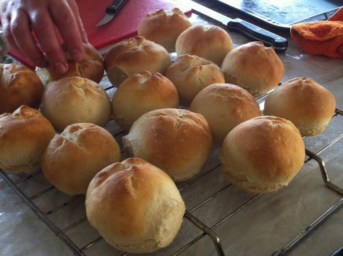 buns food bread