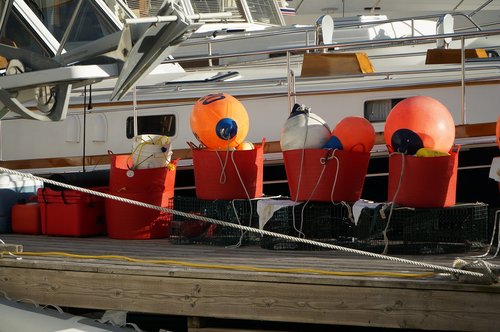buoy  fishing  industry