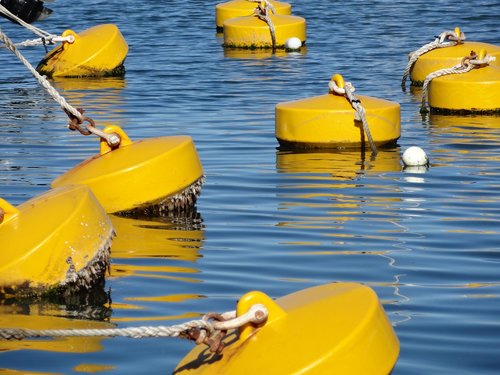 buoy  flotation  mooring