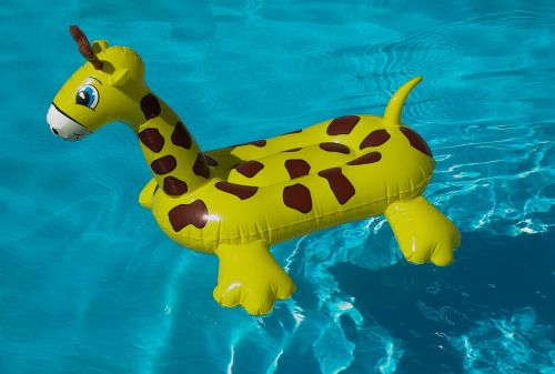 buoy swimming pool giraffe