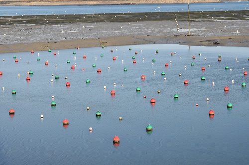 buoys mooring  port dinard  sea
