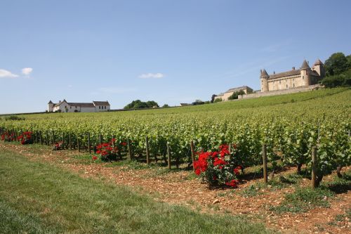 burgundy vineyard castle